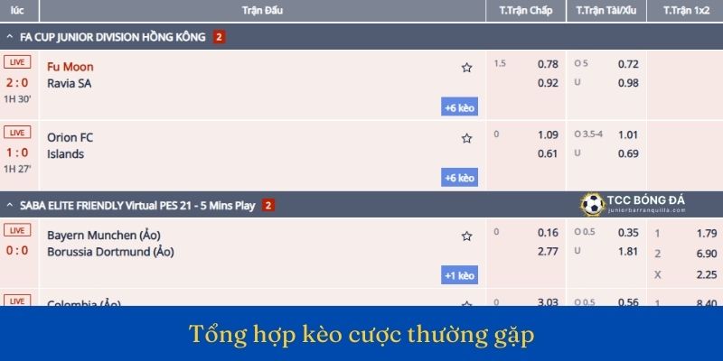 Trang mạng cá cược uy tín