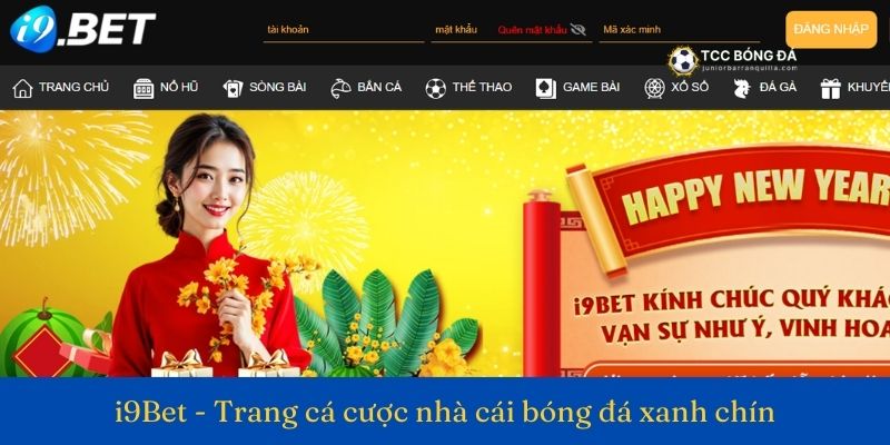 Web cá độ bóng đá